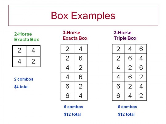 Exacta Box Chart