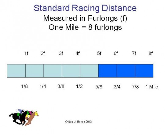 From Furlongs to Ovals - How Distances Vary by Racetrack