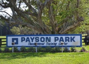Payson Park Sign