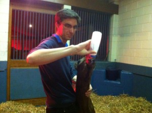 Miguel Bottle Feeding a Foal